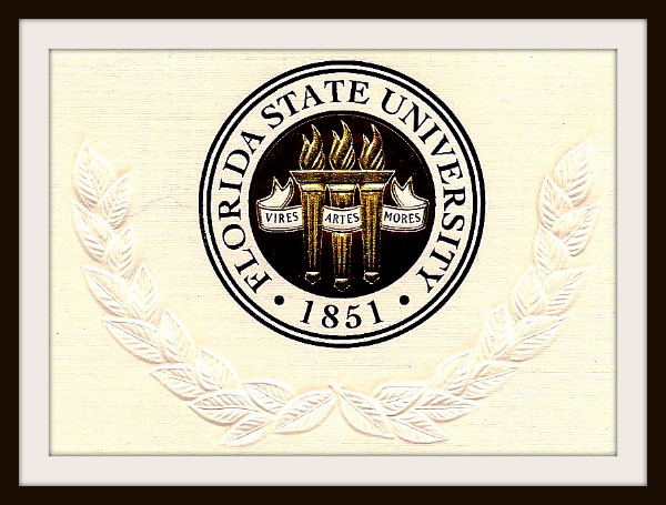 FSUseal