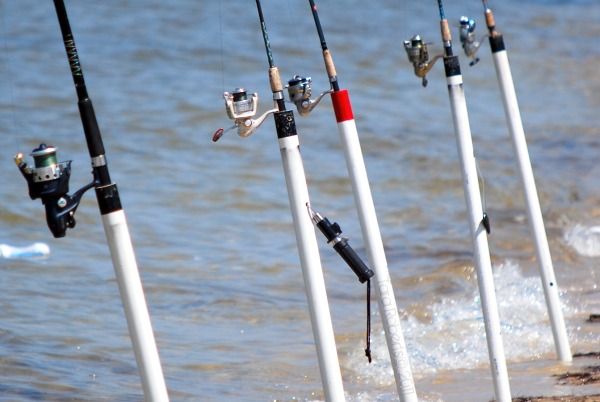 fishing poles at the beach