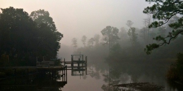 foggy bayou