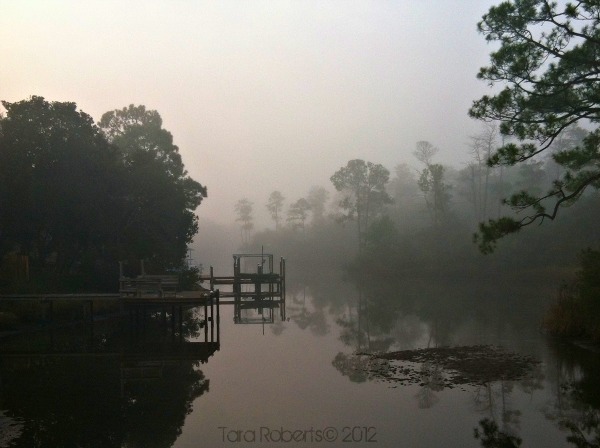 foggy bayou