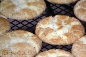 snickerdoodles_WM