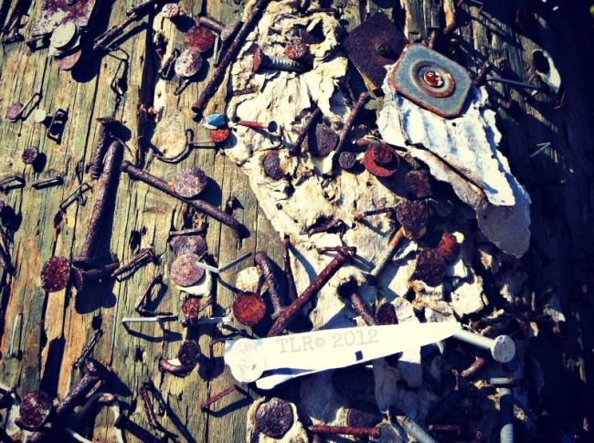 phone pole bulletin board