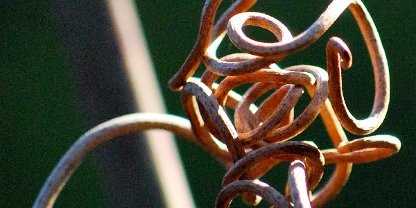 ... a riddle wrapped in a mystery inside an enigma...