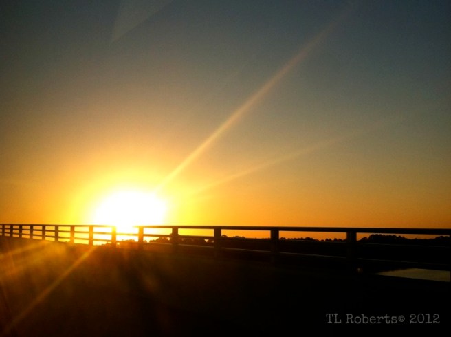 bridge sunrise