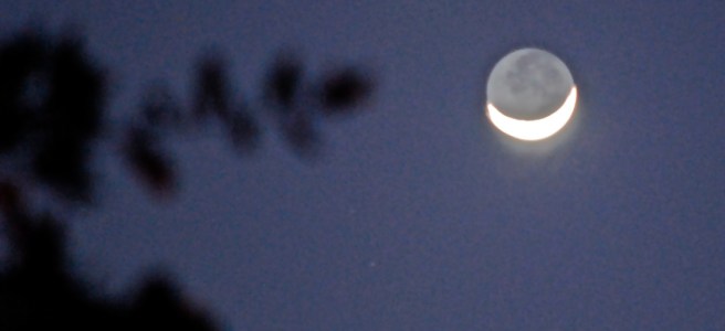 Cheshire crescent moon