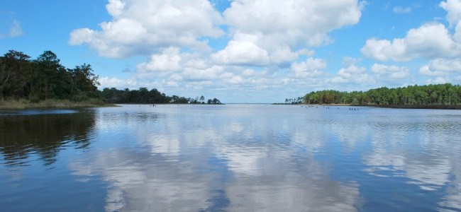 Eden Gardens bayou skies