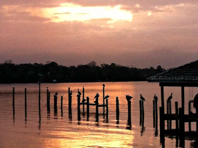 sunrise breakfast club