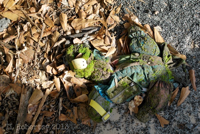 abandoned toy