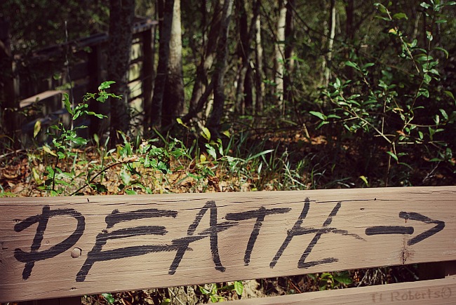 Death fence