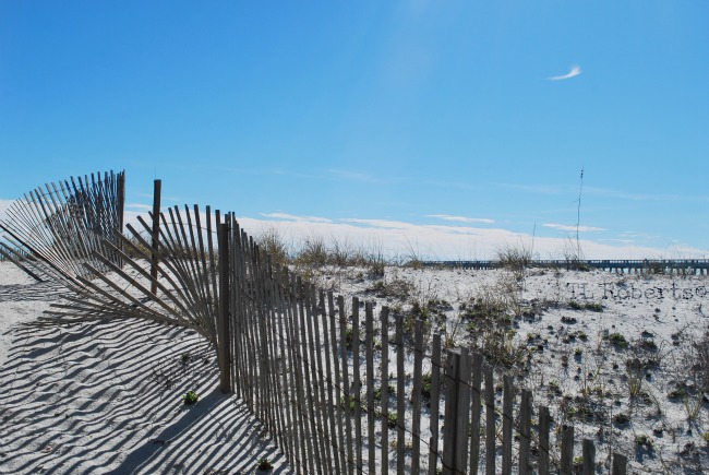 dune fence pier