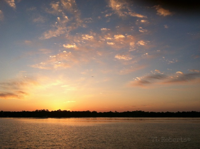 sun rise over the bay
