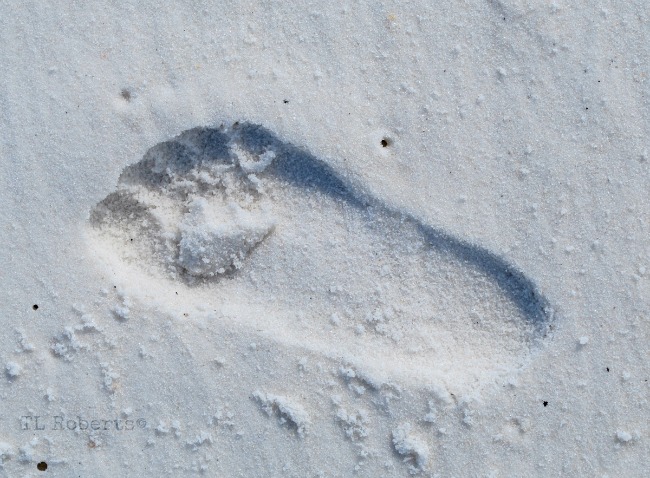 footprint on the beach