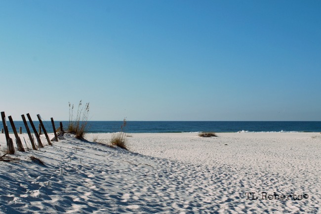 white sand beach
