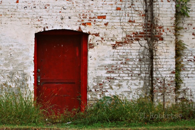 Red door in white wall