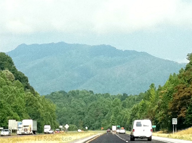 foothills of Chattanooga TN