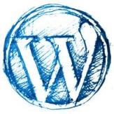 wordpress button grunge