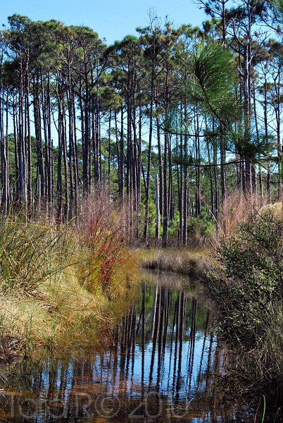 flooded trail