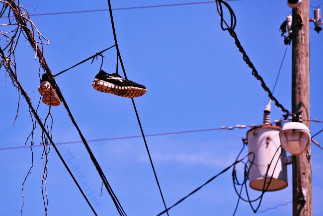 sneakers on a high wire