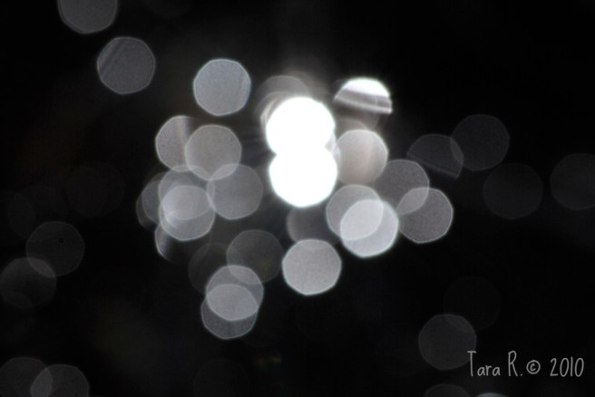 black and white bokeh