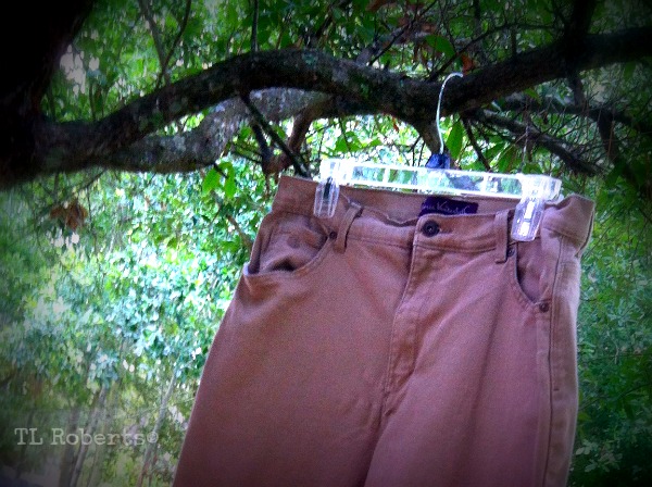 pants on a hanger