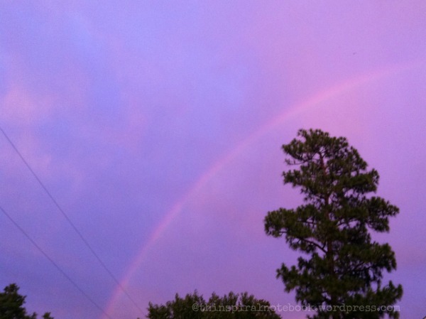 pink sky rainbow
