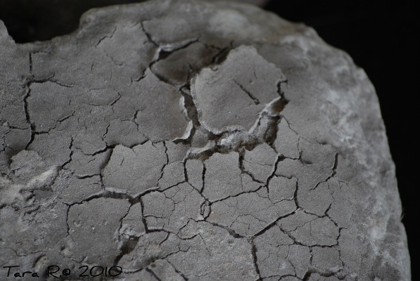 cracked, dried mud
