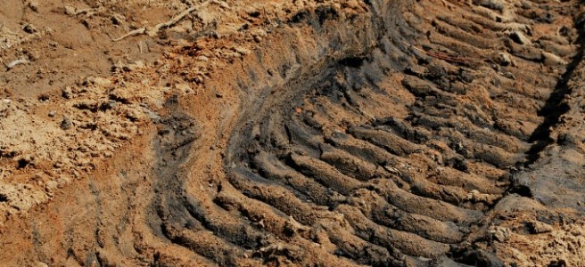 tire track in dirt
