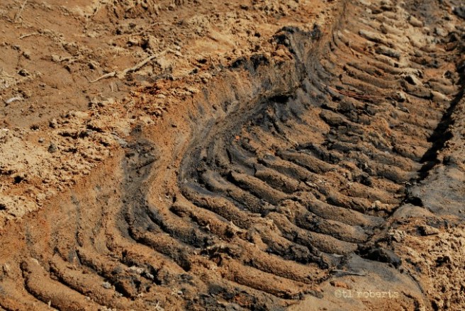 tire track in dirt