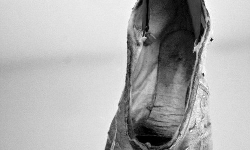 black and white, ballet slipper