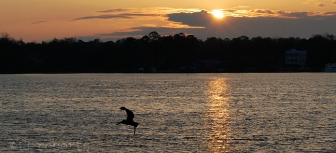 sunrise over the bay