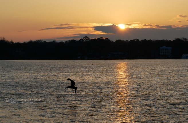 sunrise over the bay