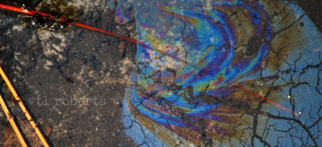 oil slick on water