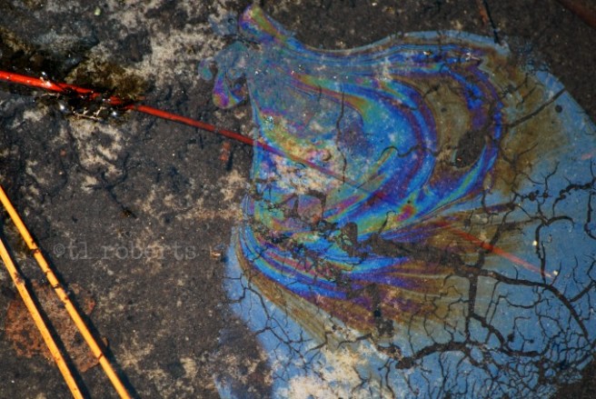 oil slick on water