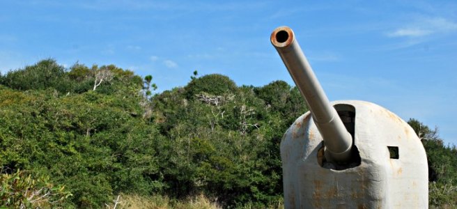 cannon at fort pickens Battery 234