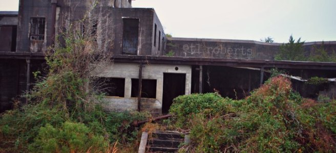 abandoned concrete building