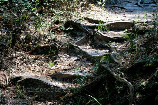 naturalstairs