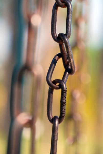 swingset chains