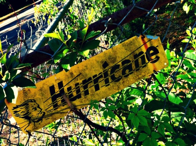 hurricane fence sign