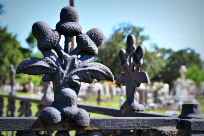 acorn finials on cemetery fence