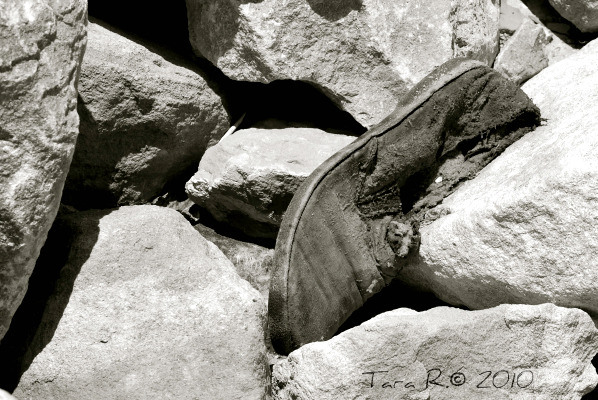 discarded shoe