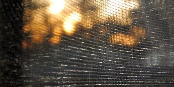 sunset reflection through window screen