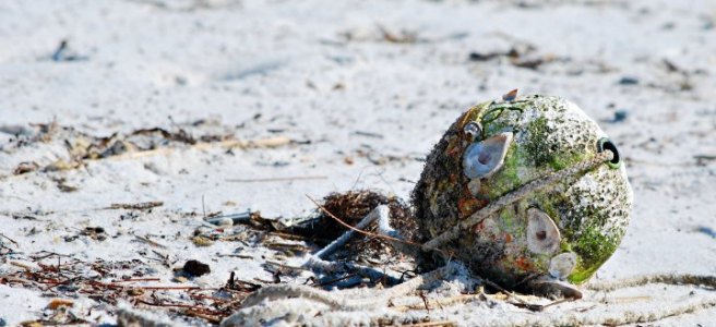 barnacle crusted buoy