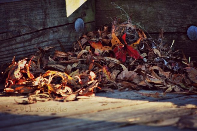 pile of dead leaves