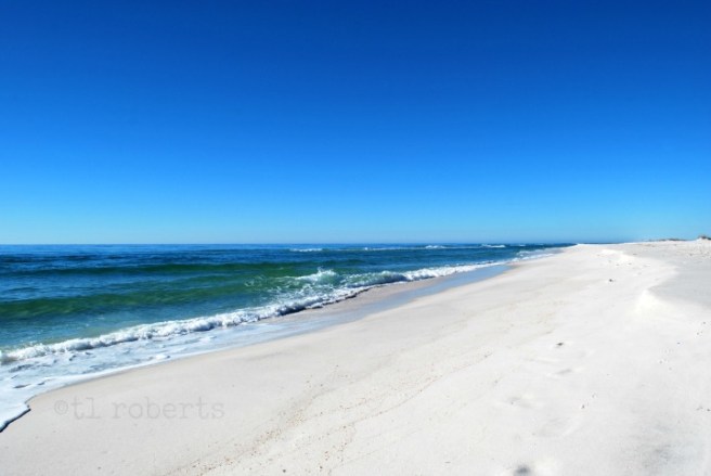 Gulf Coast beach