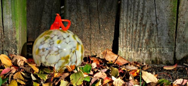 glass pumpkin in dry leaves