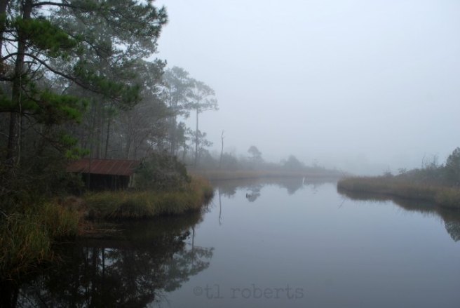 foggy bayou