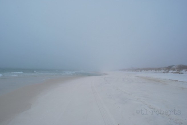 foggy beach