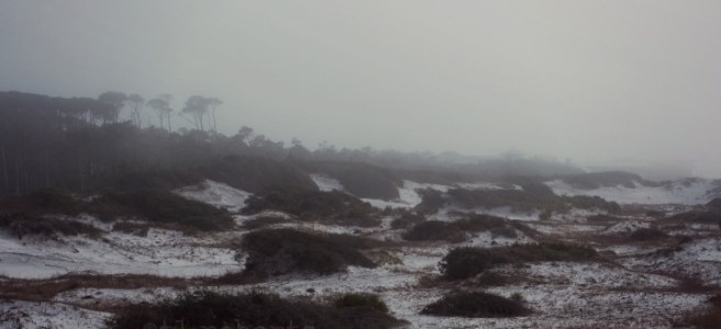 foggy beach landscape