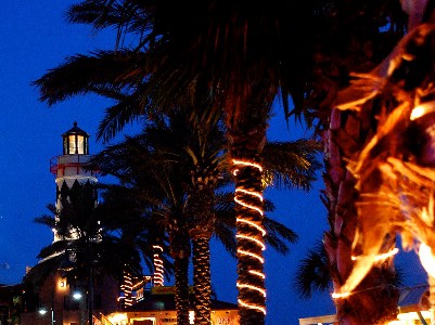 holiday decorations Florida style