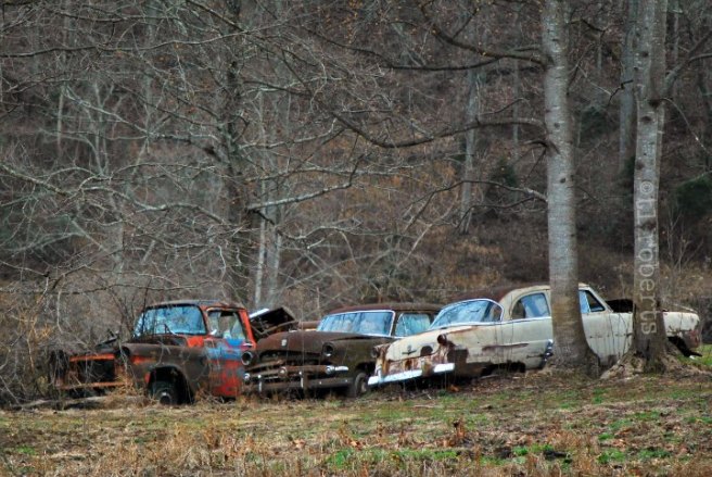 abandoned old cars
